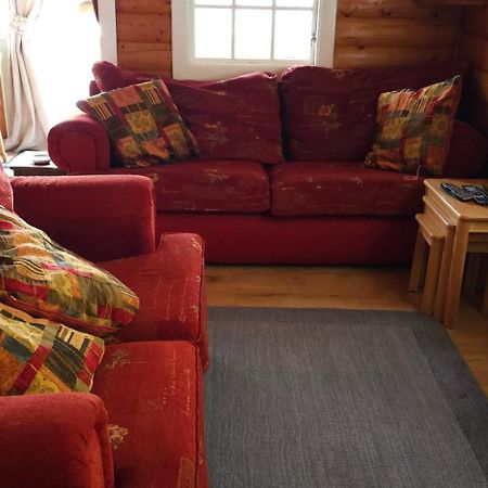 Snowdonia National Park Log Cabin With Garden Trawsfynydd Exterior foto