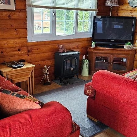 Snowdonia National Park Log Cabin With Garden Trawsfynydd Exterior foto