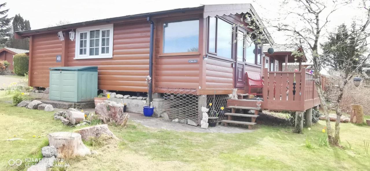 Snowdonia National Park Log Cabin With Garden Trawsfynydd Exterior foto